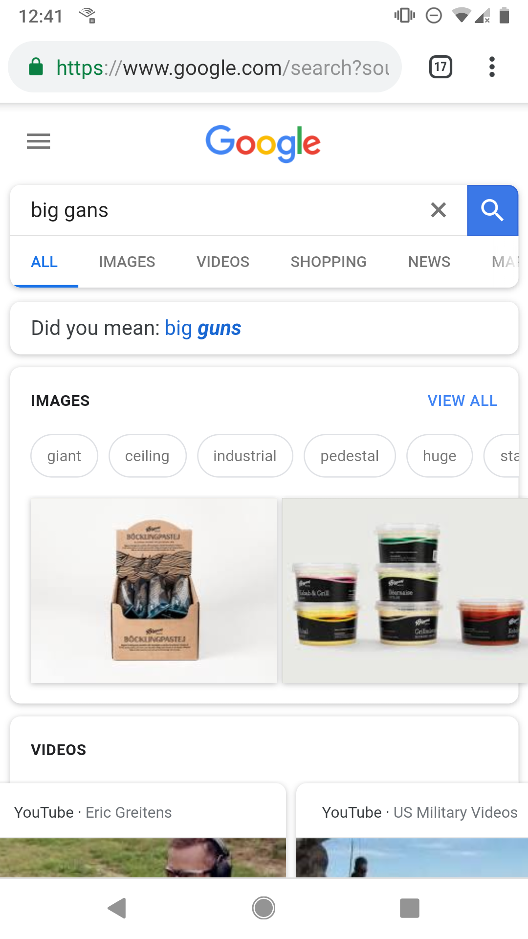 BigGANs Google Fail